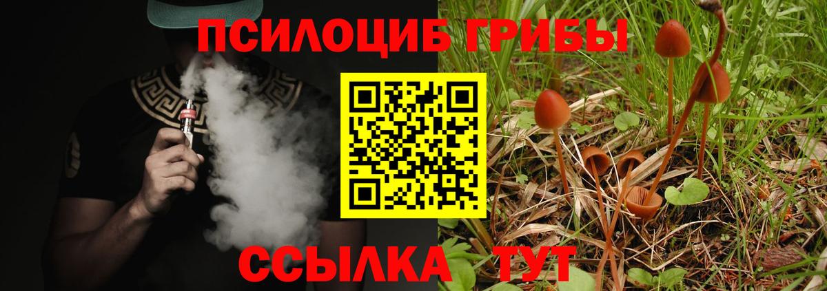 Галлюциногенные грибы мухоморы Кандалакша